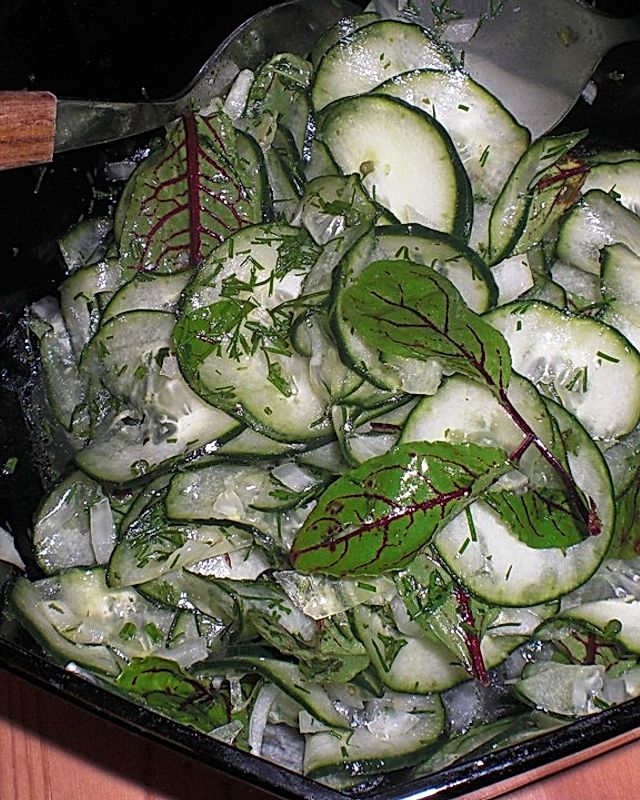 Gurken-Blutampfer-Salat mit frischem Dill