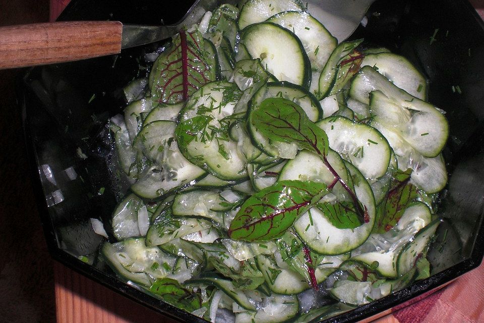 Gurken-Blutampfer-Salat mit frischem Dill