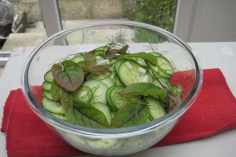 Gurken-Blutampfer-Salat mit frischem Dill