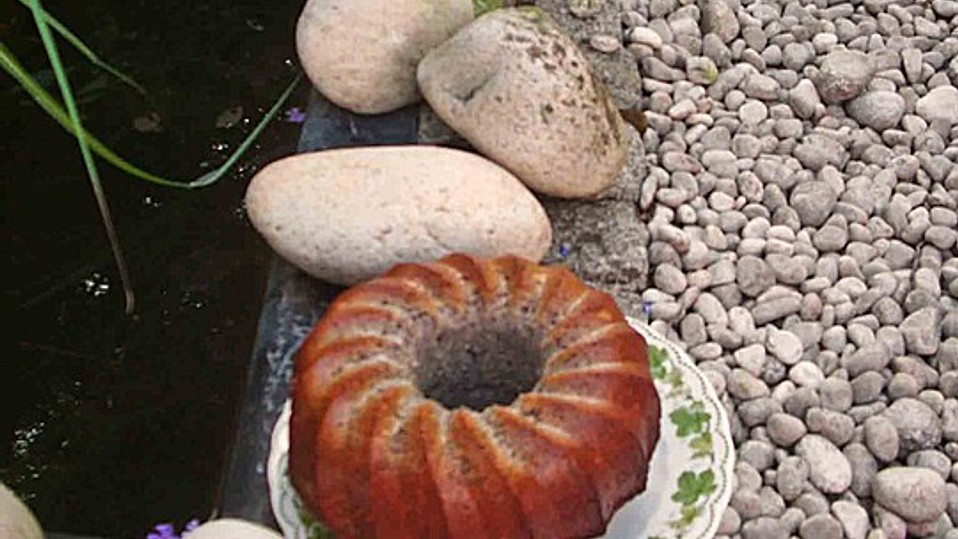 Flaumiger Schoko - Nuss - Kuchen mit Joghurt von süßli-regi Flaumiger Schoko - Nuss - Kuchen mit Joghurt von süßli-regi