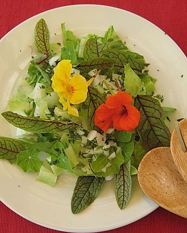 Salat mit Kapuzinerkresse und Blutampfer in Estragondressing