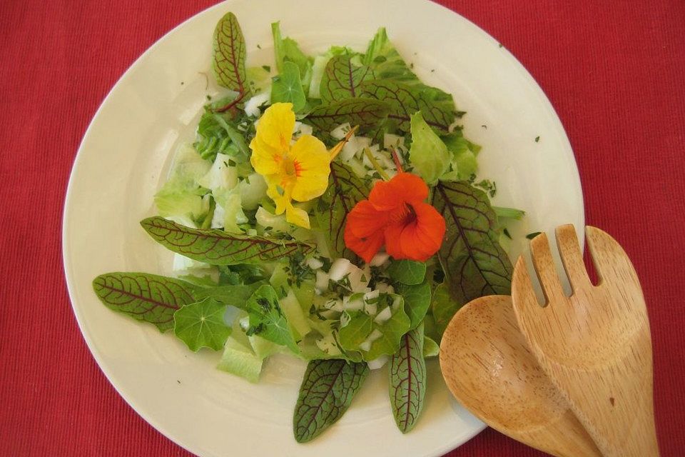 Salat mit Kapuzinerkresse und Blutampfer in Estragondressing