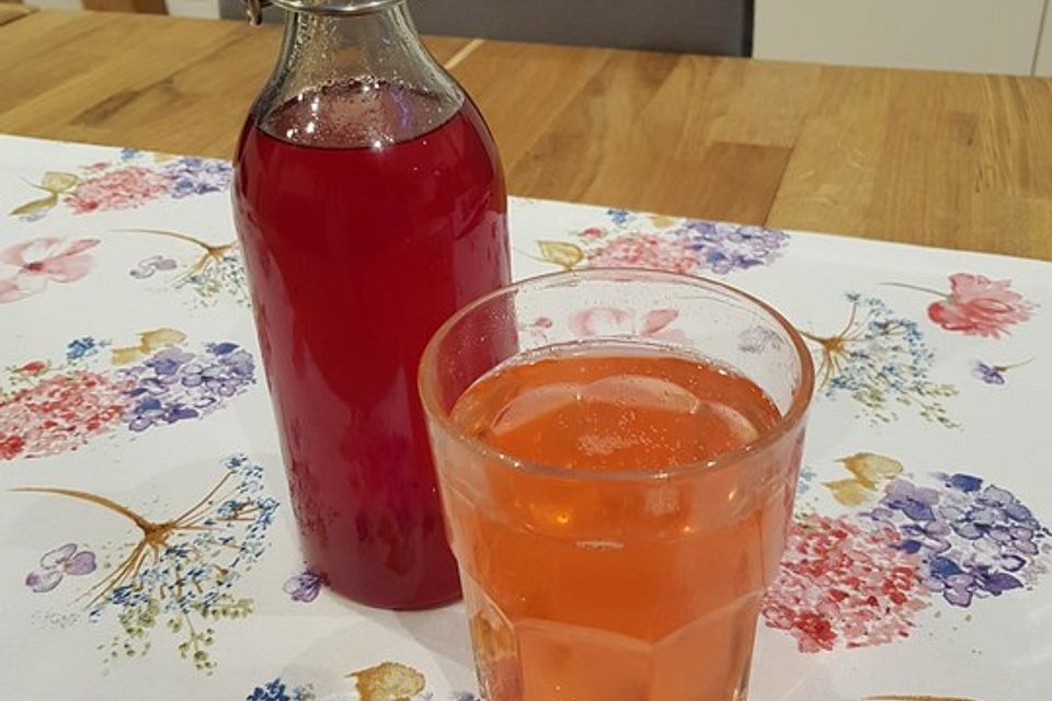 Johannisbeer-Apfel-Sirup mit Thymian