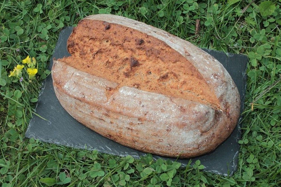 Sauerteig-Vollkornbrot mit gerösteten Cashewkernen