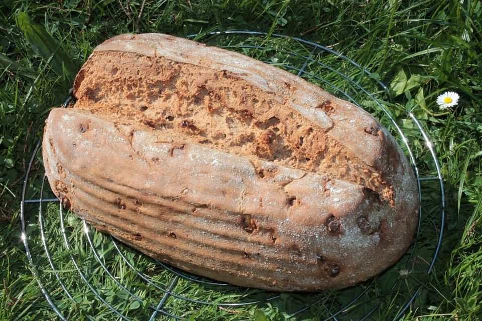 Emmer-Dinkel-Sauerteig-Vollkornbrot mit gerösteten Walnüssen