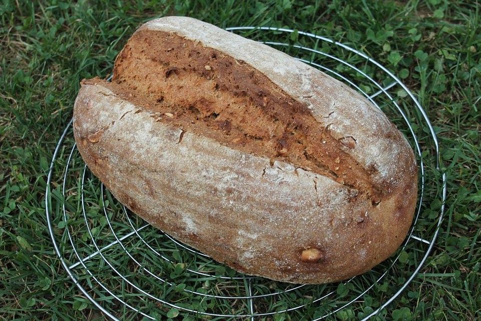 Fünf-Nuss-Vollkornbrot mit Molke