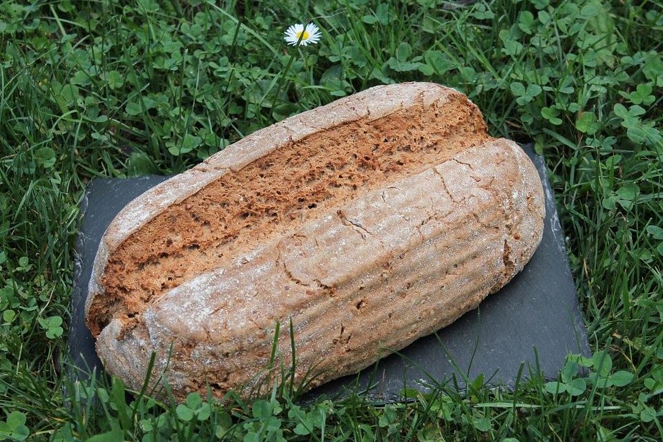 Buchweizen-Dinkel-Vollkornbrot mit Sauerteig