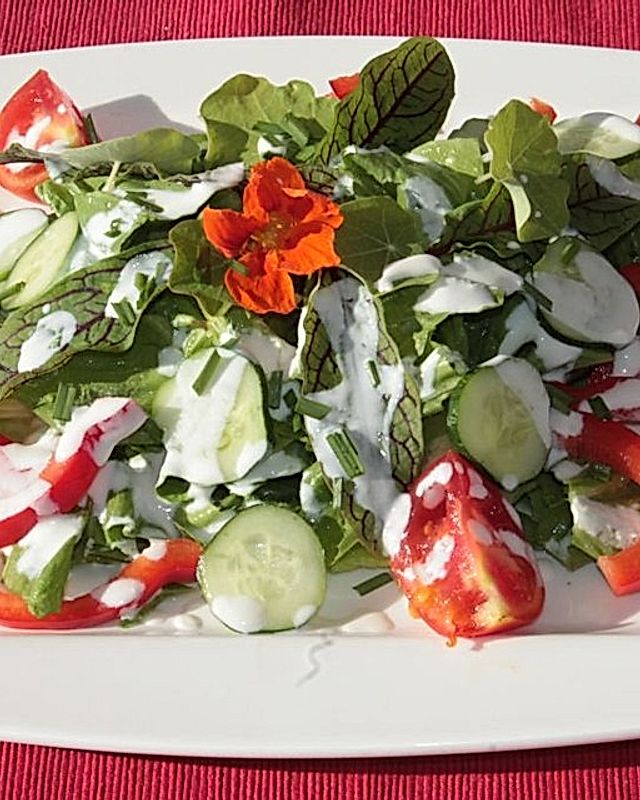 Bunter Zichorie-Wildkräuter-Salat mit Zitronen-Joghurt-Dressing