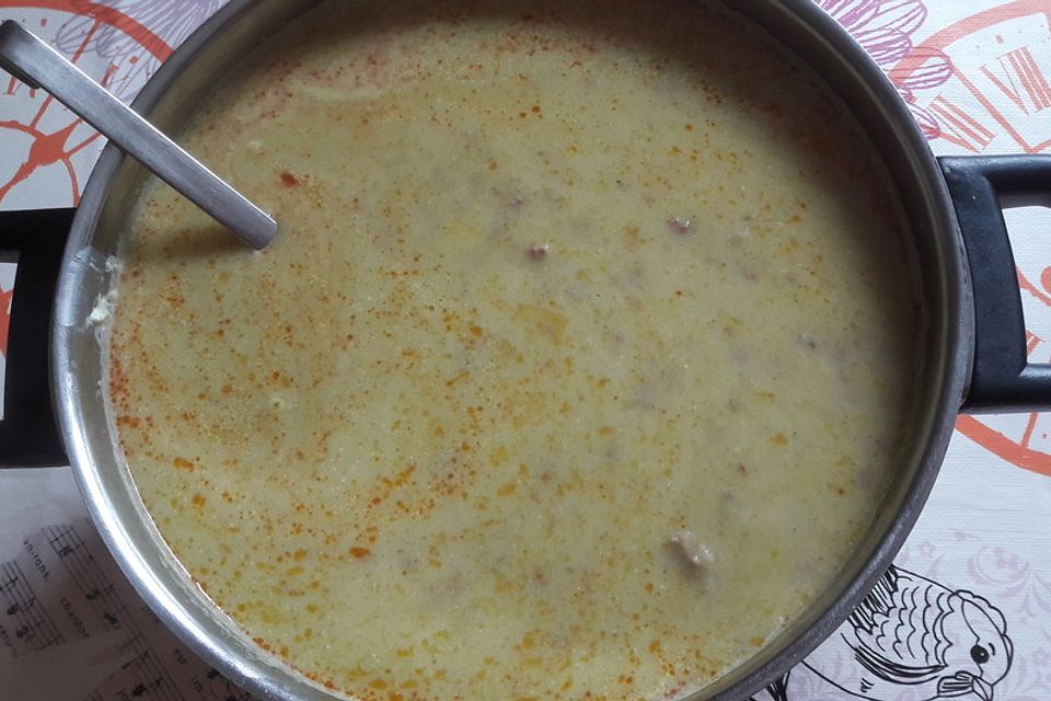 Hackfleisch-Käse-Lauchsuppe