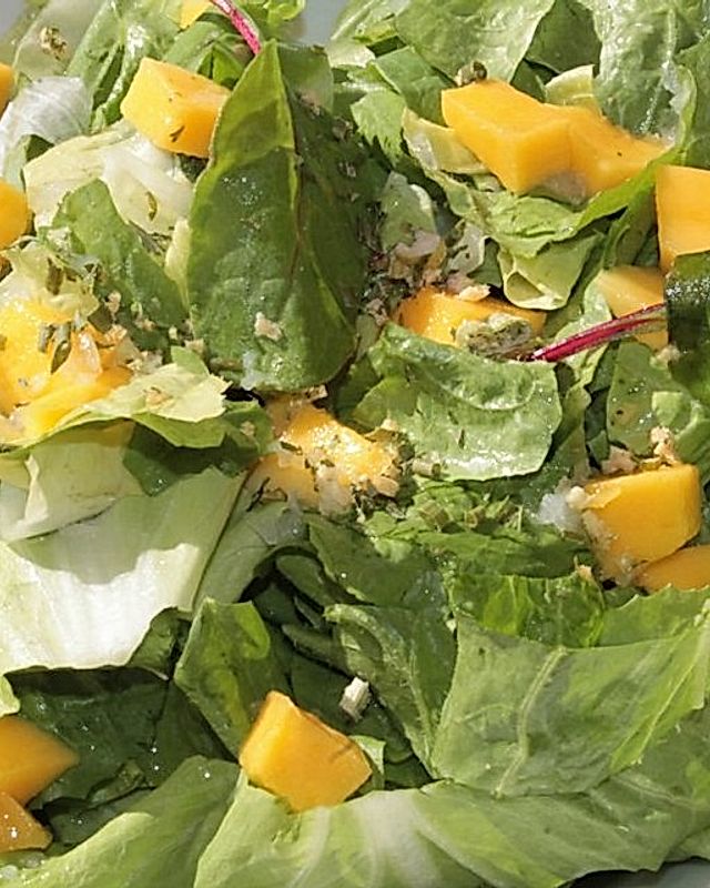 Süßer Zichorie-Mango-Salat mit Babymangold