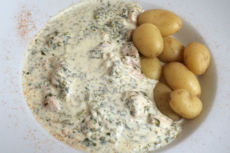 Welsfilet in Koriander-Schmand-Sauce