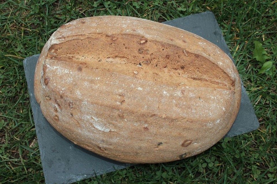 Vollkornbrot