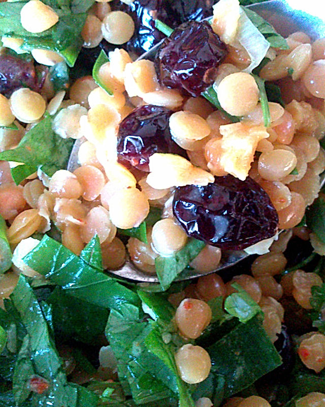 Rote Linsen-Salat