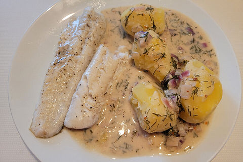Zanderfilet in Zitronen-Dill-Sahne-Senf-Sauce von patty89 Zanderfilet in Zitronen-Dill-Sahne-Senf-Sauce von patty89