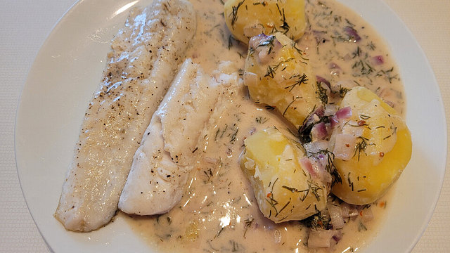 Zanderfilet in Zitronen-Dill-Sahne-Senf-Sauce von patty89 Zanderfilet in Zitronen-Dill-Sahne-Senf-Sauce von patty89