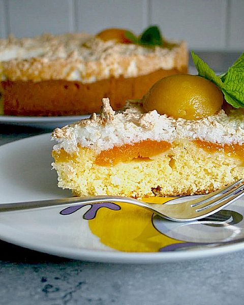 Aprikosenkuchen Rezepte | Chefkoch