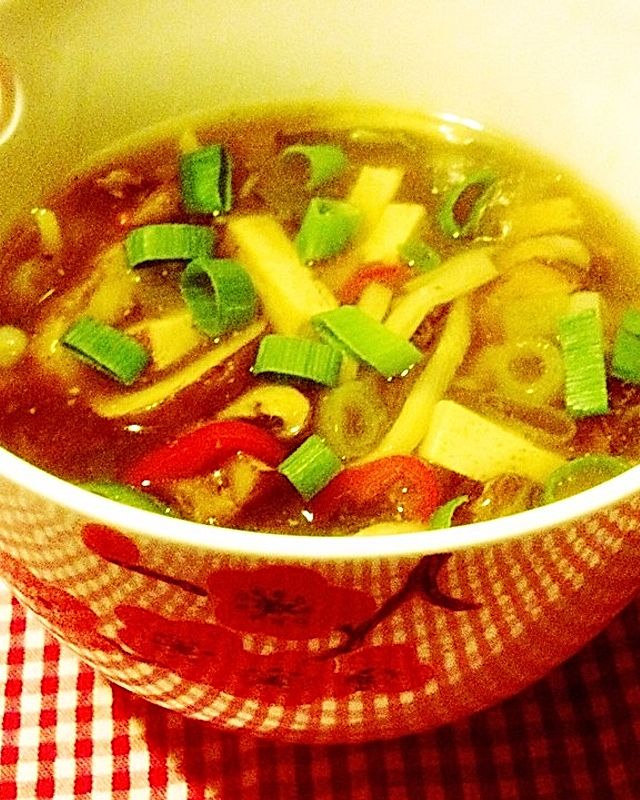 Chinesische Hot & Sour Suppe