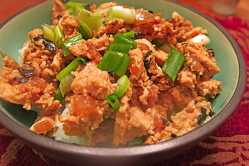 Japanisches Reisgericht mit Hühnerfleisch und Ei
