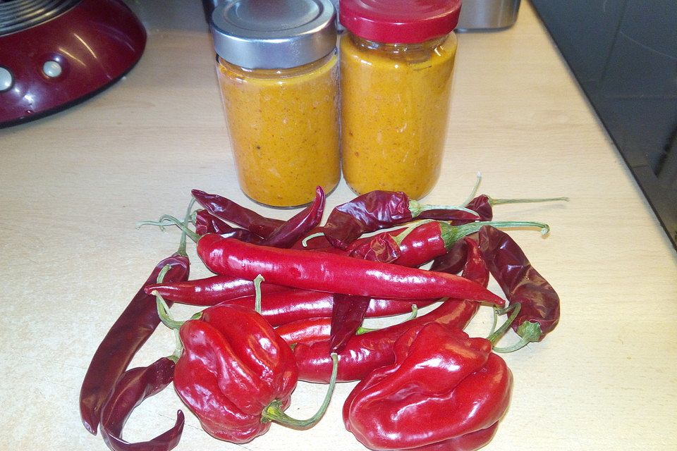 Harissa-Paste