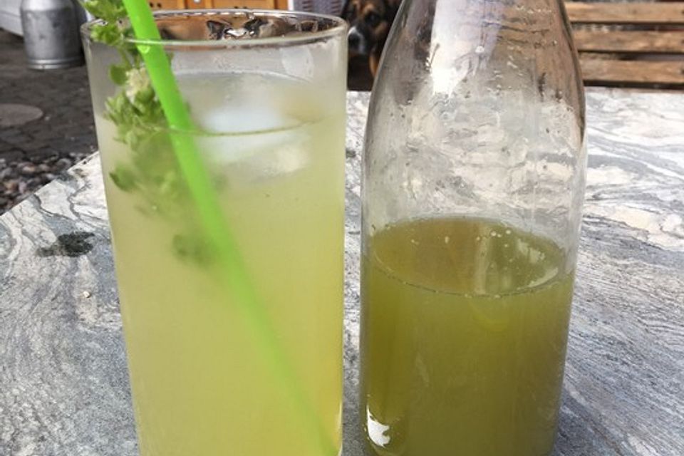 Gin Basil Highball