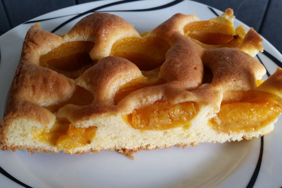 Altbaerlis Marillenkuchen