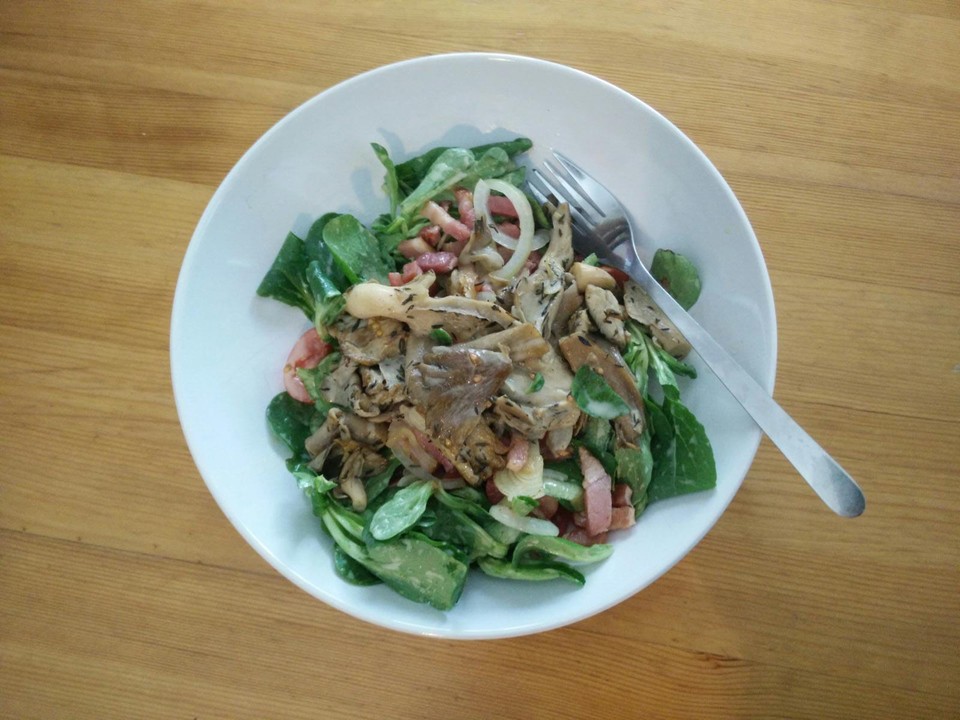 Austernseitling Rezepte Chefkoch 
