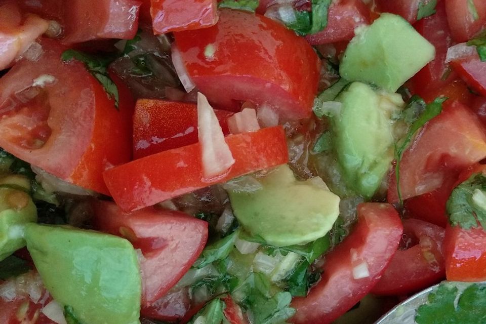 Tomatensalat mit roten Zwiebeln, Koriander, Avocado und Olivenöl