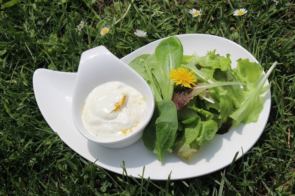 Löwenzahn-Joghurt-Dressing