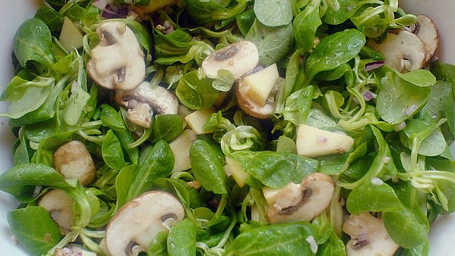 Bunter Feldsalat von Aurora