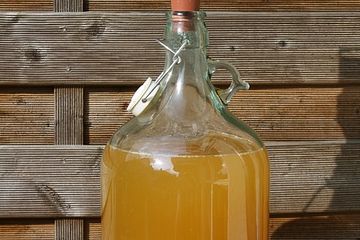 Honig, fermentiert