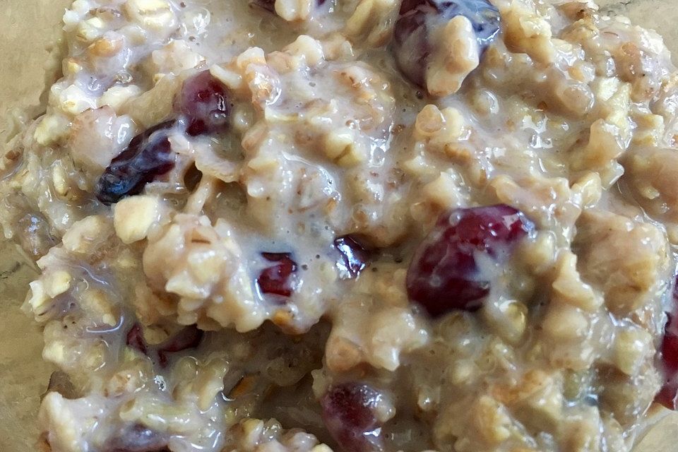 Schoko-Porridge mit Cranberries