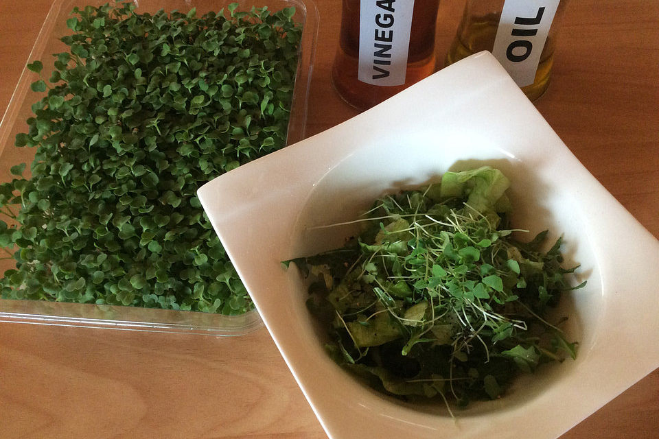 Chiasprossen aus Eigenanbau als Salat mit Rucola und Eisbergsalat