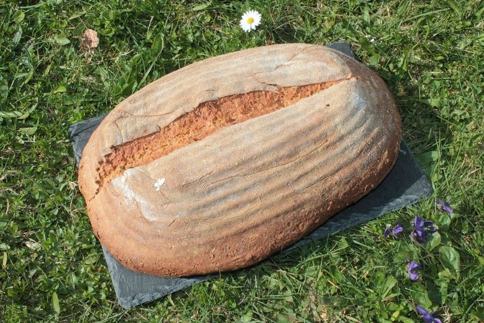 Dinkel-Einkorn-Vollkornbrot mit Roggenschrot und Roggensauerteig