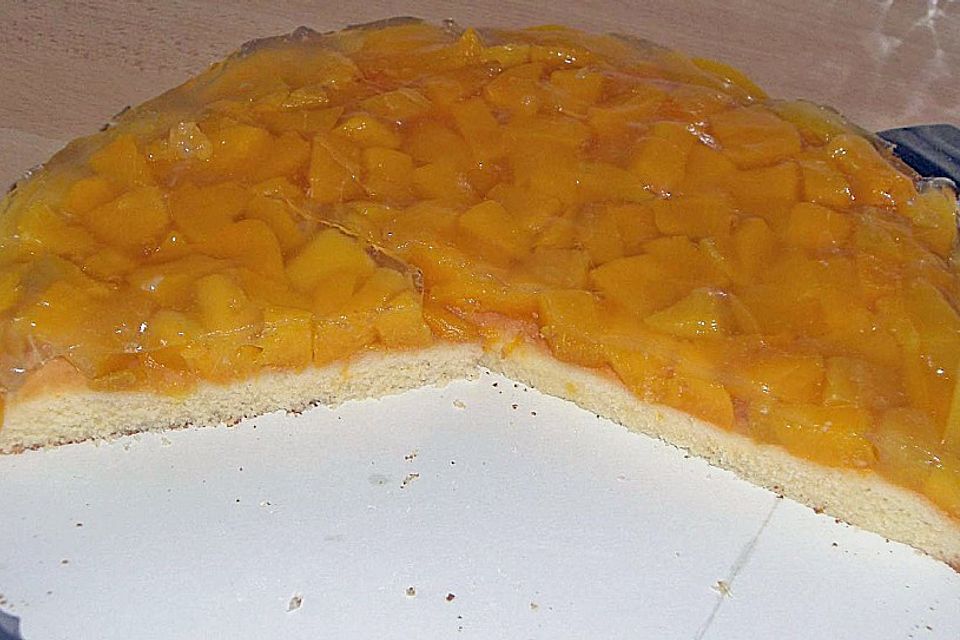 Tortenboden für Obstkuchen