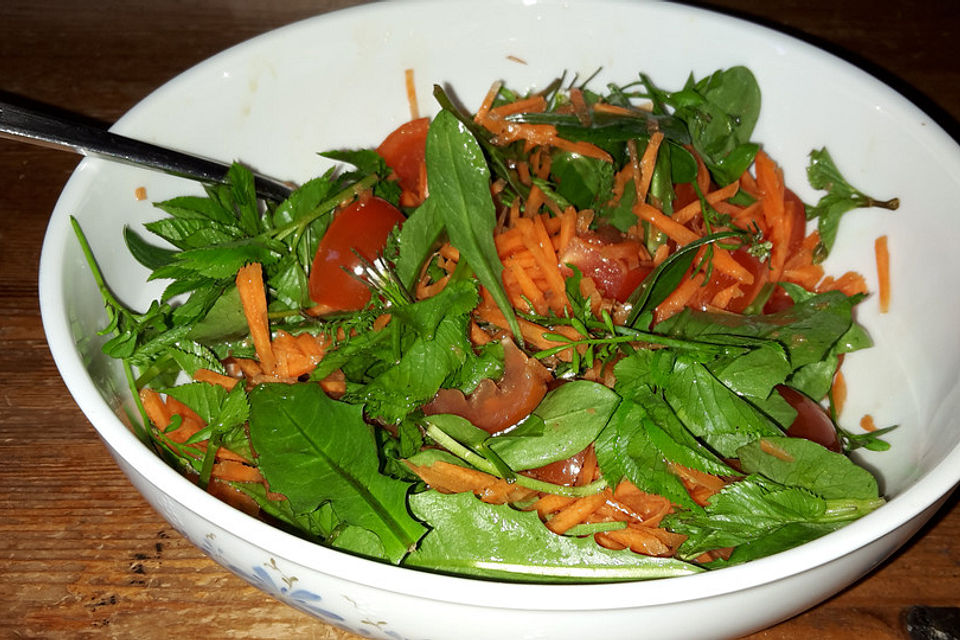 Frischer Wildkräutersalat mit Zitronen-Leinöl-Dressing