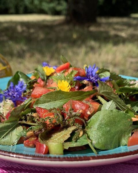 Leinöl Rezepte | Chefkoch Leinöl Rezepte | Chefkoch