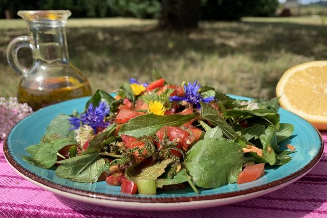 Frischer Wildkräutersalat mit Zitronen-Leinöl-Dressing von Windblase ...