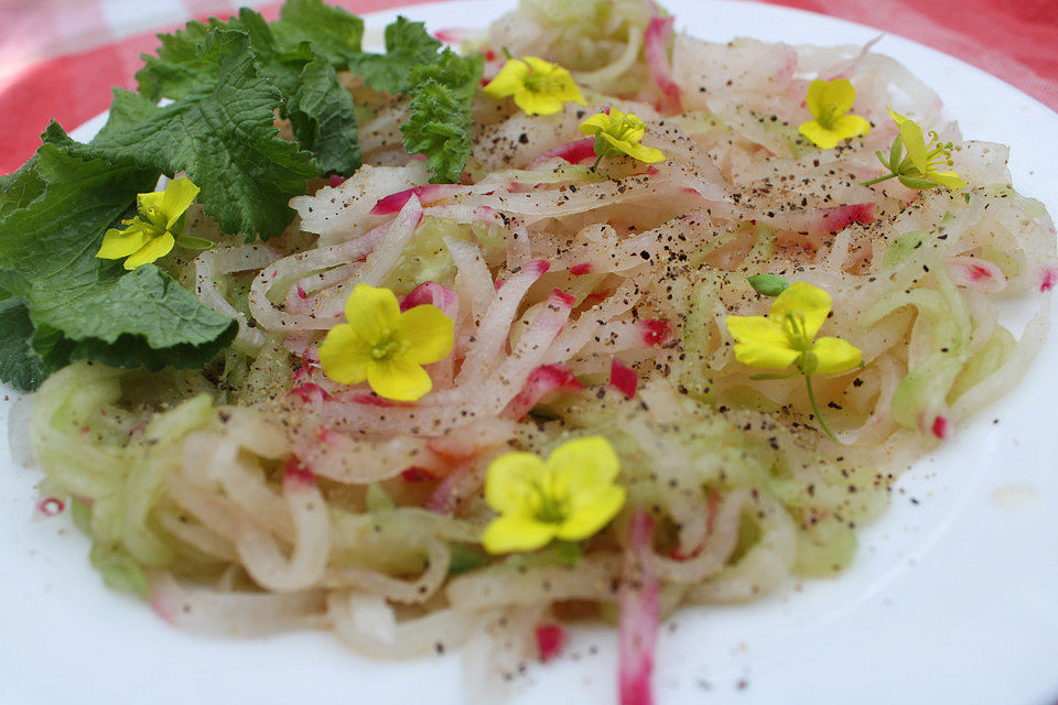 Würzig-scharfer Gurken-Rettich-Salat