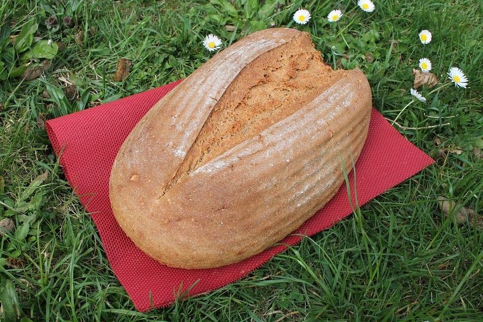 Paranuss-Goldleinsaat-Vollkornbrot mit Einkorn und isländischem Frischkäse