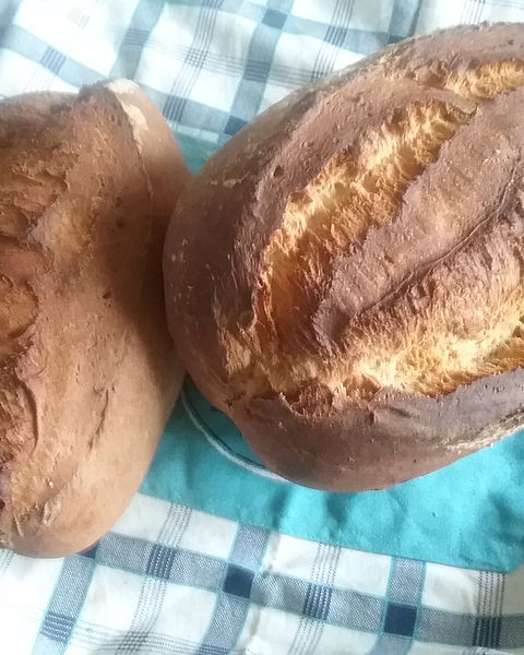 Schmalzbrot Rezepte | Chefkoch