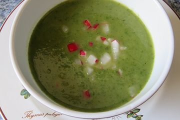 Radieschen-Suppe