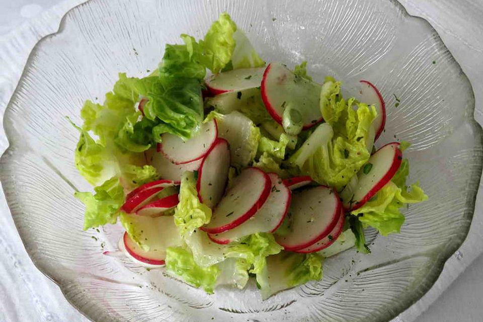 Blattsalat mit Radieschen