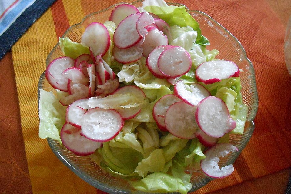 Blattsalat mit Radieschen