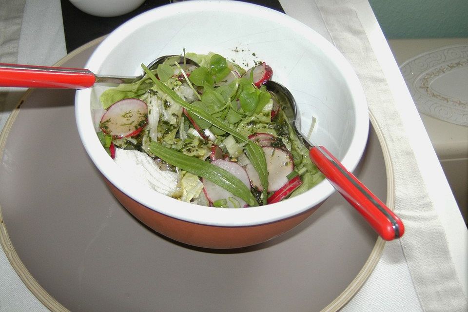 Blattsalat mit Radieschen