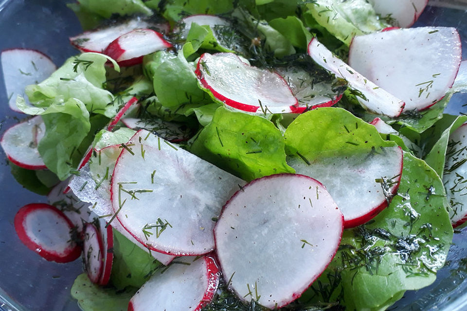 Blattsalat mit Radieschen