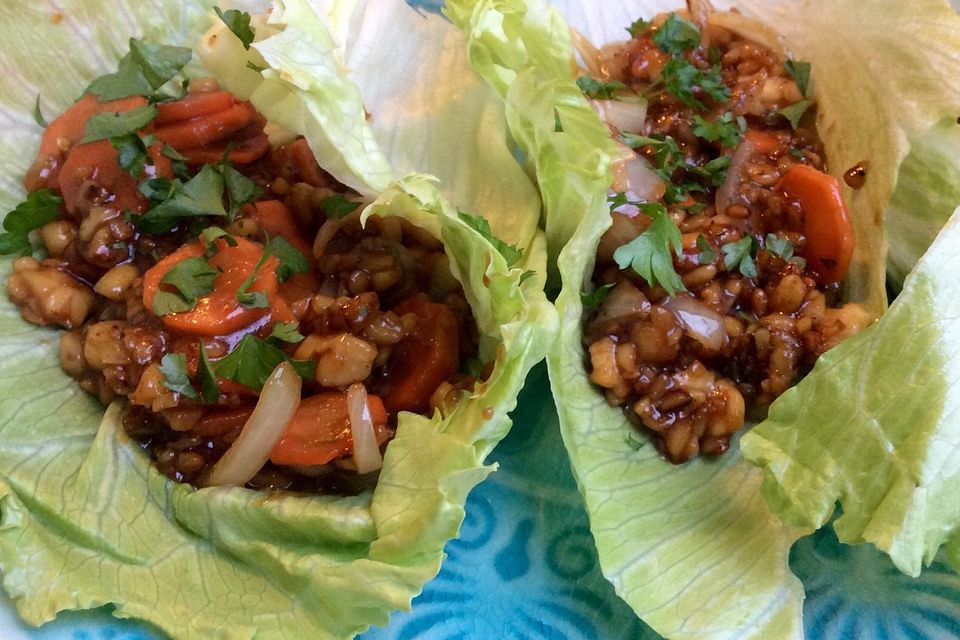 Teriyaki-Tempeh-Salatwraps