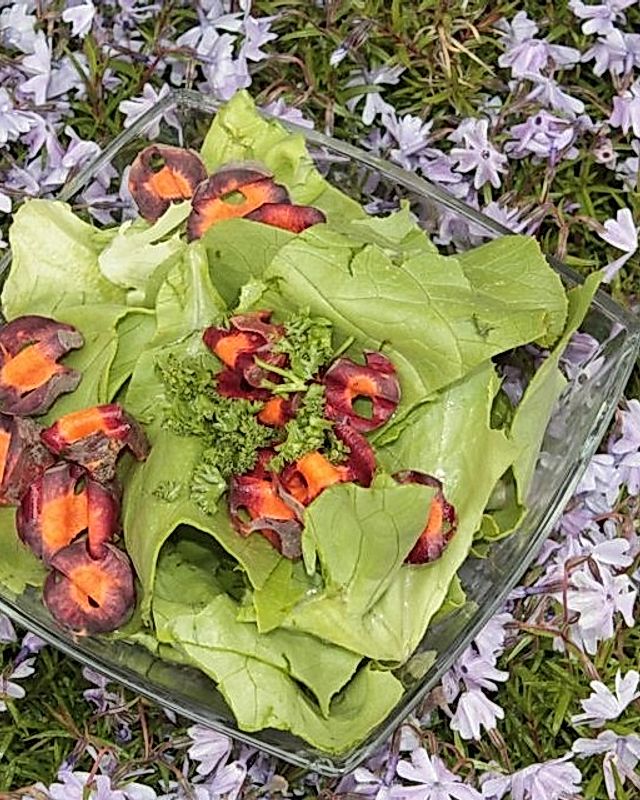 Kopfsalat mit Urkarotte in Apfel-Holunderblüten-Dressing