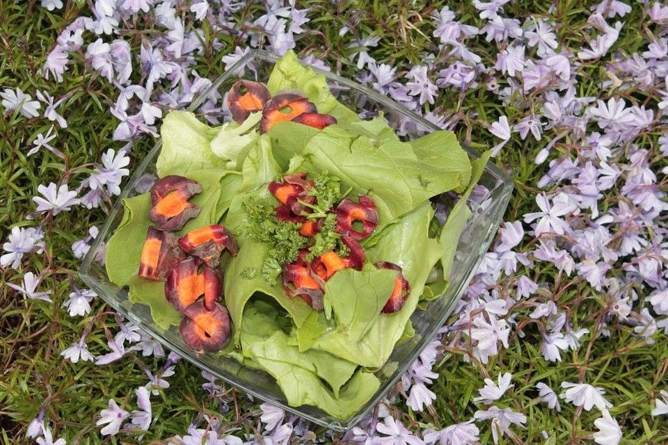 Kopfsalat mit Urkarotte in Apfel-Holunderblüten-Dressing