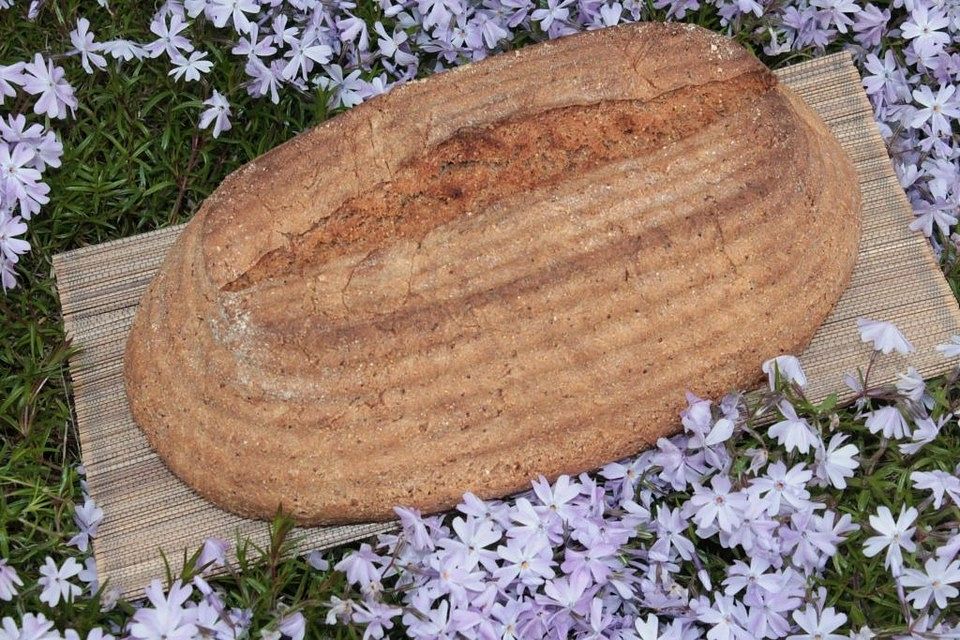 Sauerteig-Vollkornbrot mit gekochtem Canihua, Amarant und Teffmehl