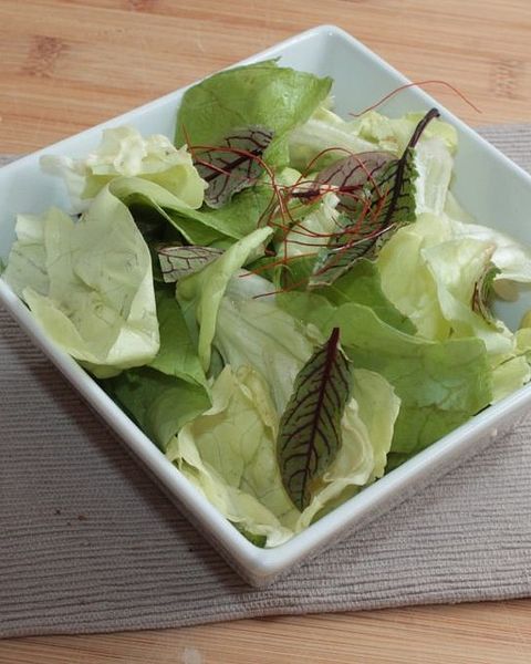 Kopfsalat mit Blutsauerampfer